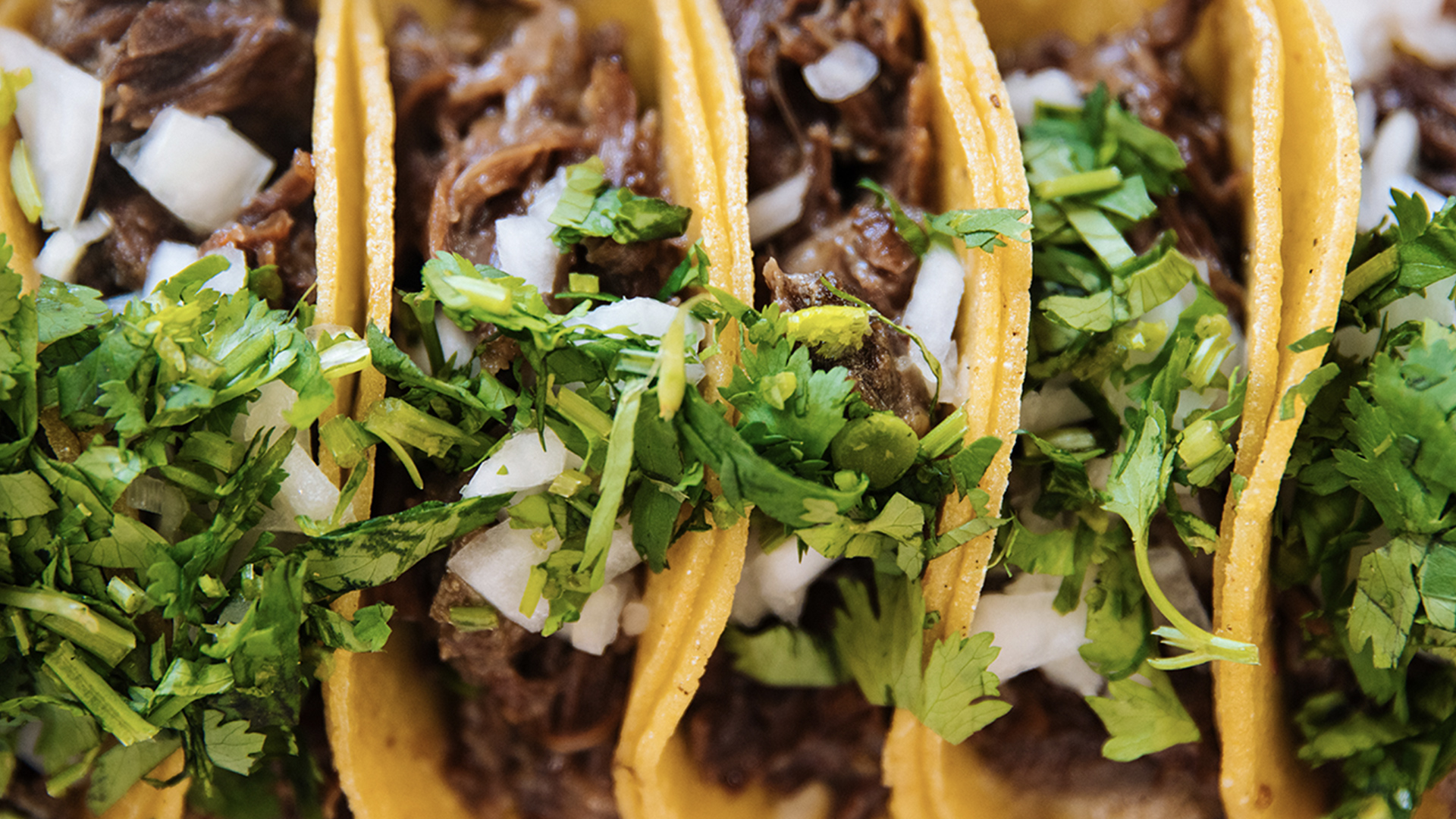 Four tacos lined up with filling