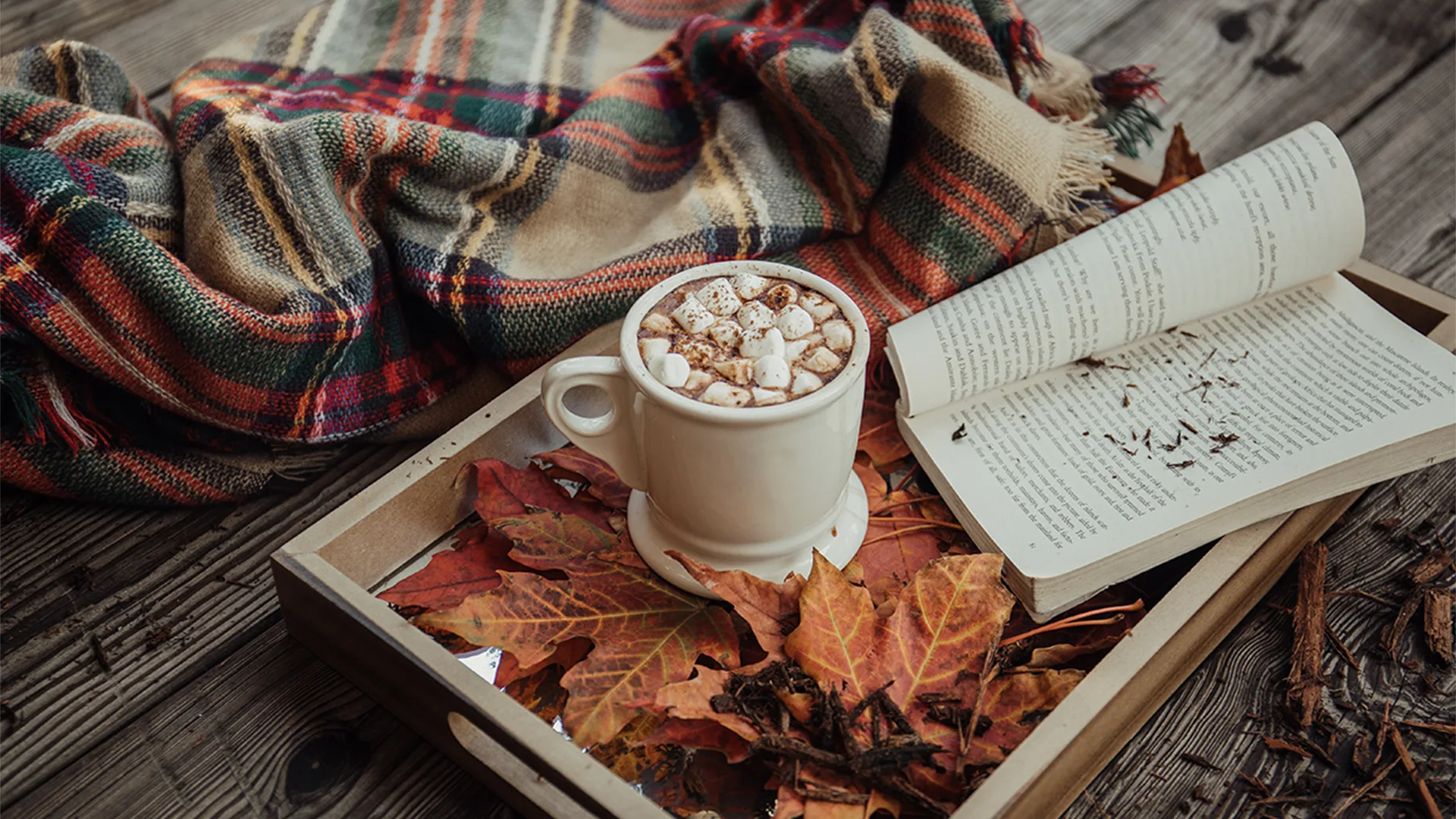 Cosy, autumnal set-up: mug of hot chocolate with marshmallows and a book on a wooden tray amongst autumn leaves and a checked blanket.