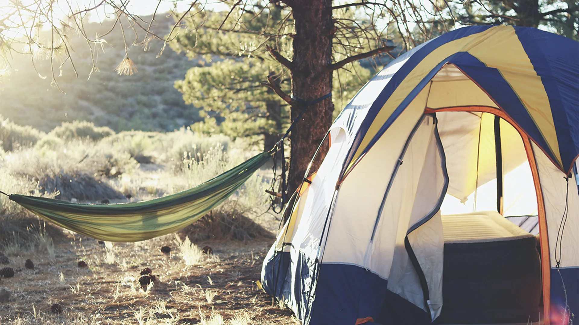 Blue and white tent in forested, tranquil campsite. Hammock is strung between two trees to the left and the sun is shining through.