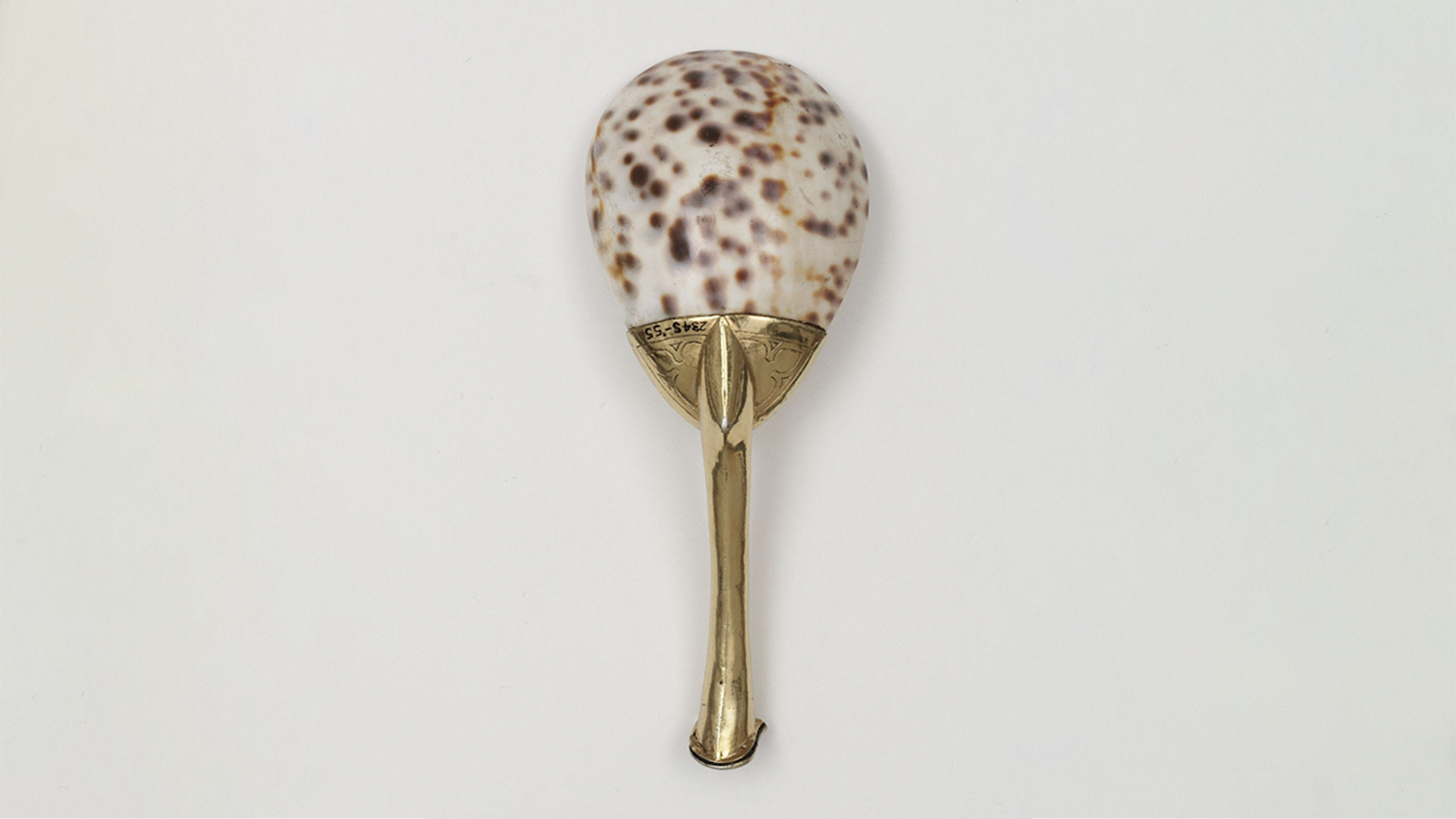 Spoon made from a cowrie shell