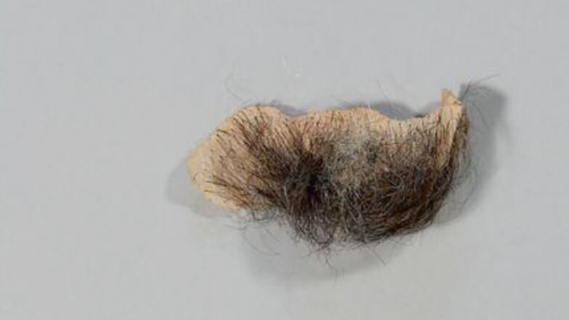 False beard made from human or animal hair