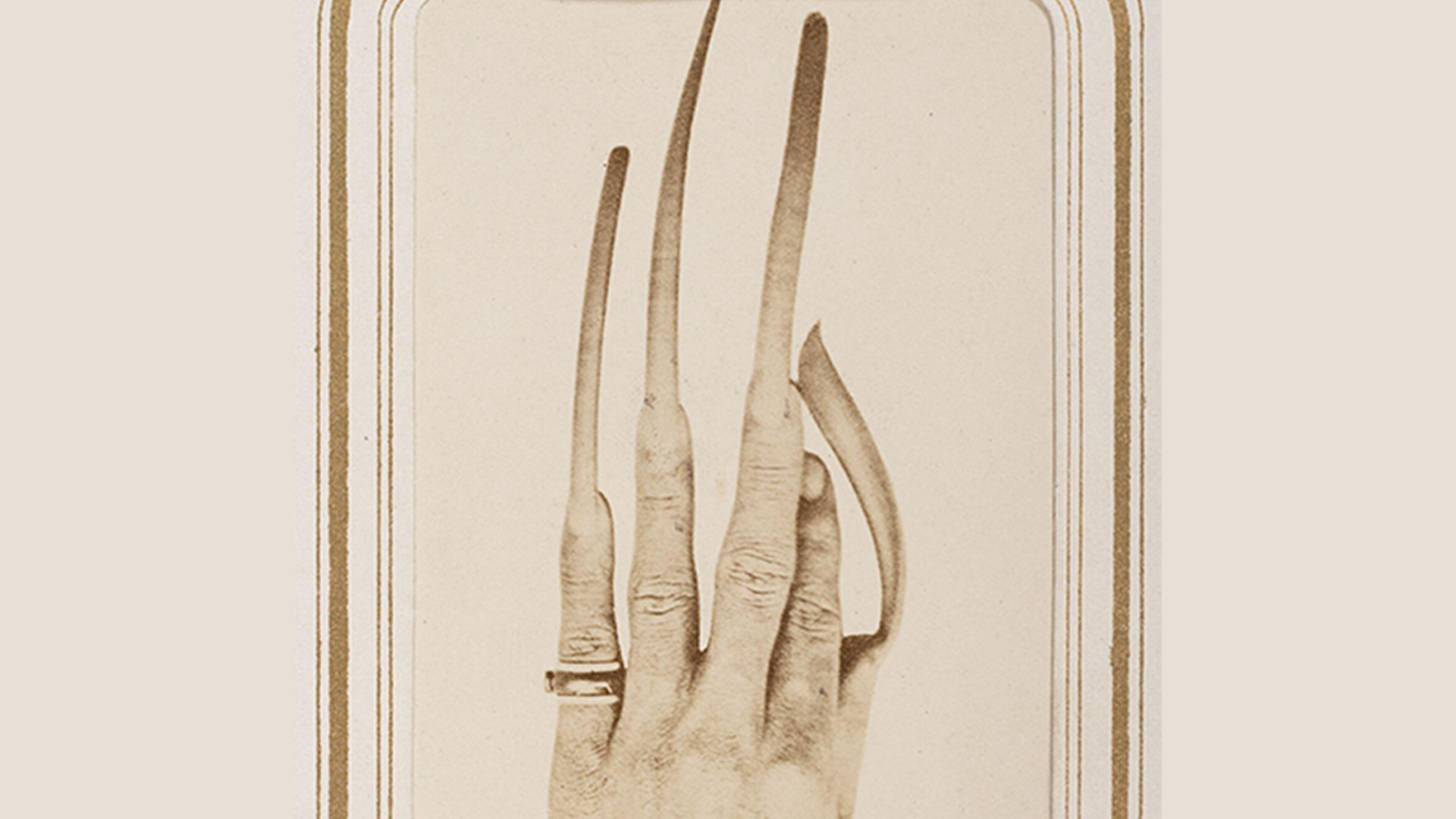 Photograph of a hand with extremely long fingernails