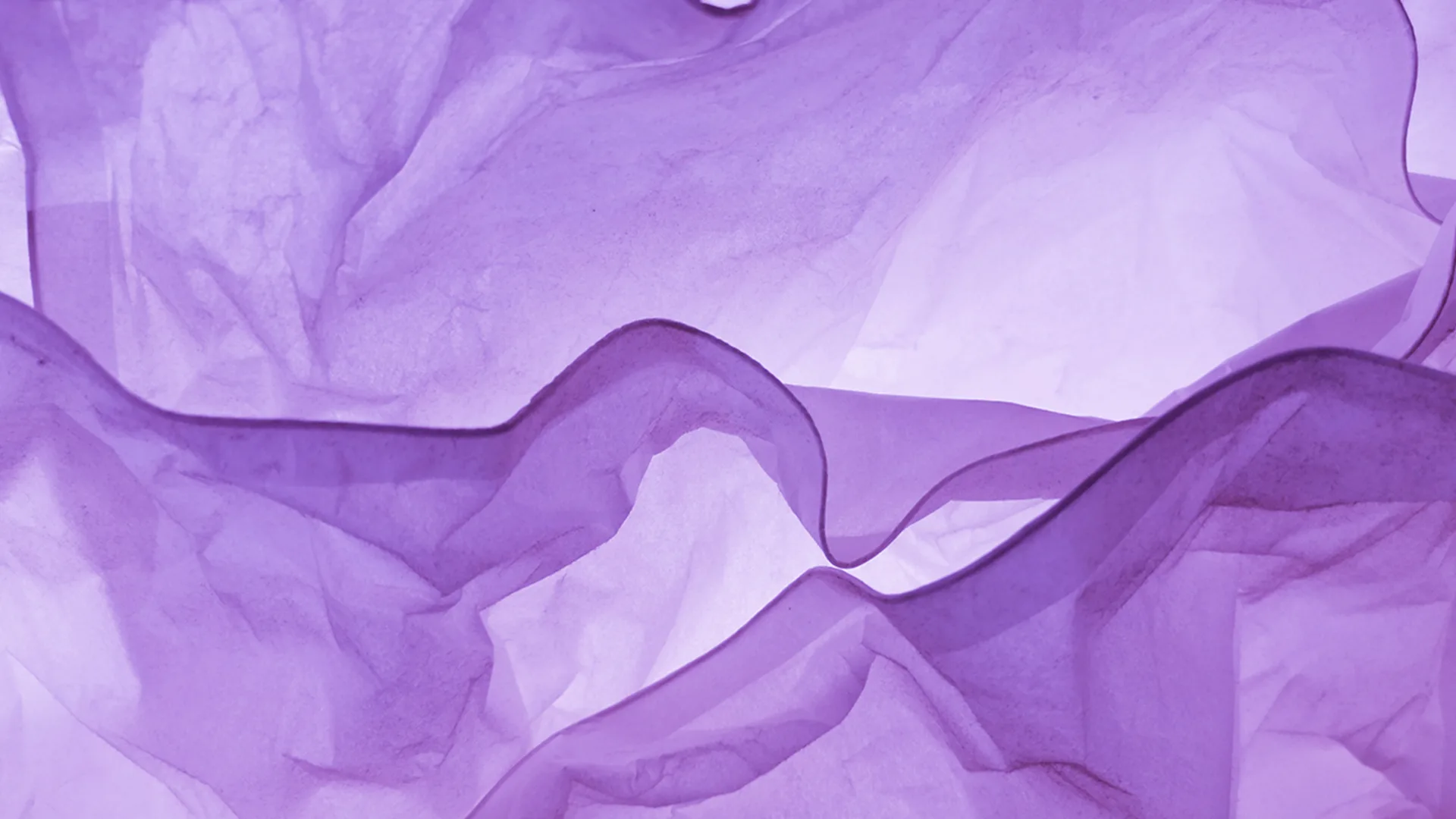 Purple textile on a light background