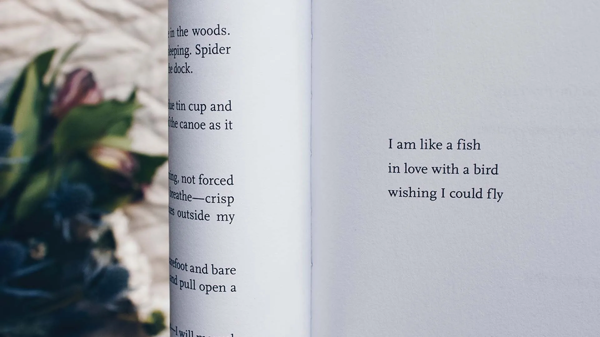 A book with a poem