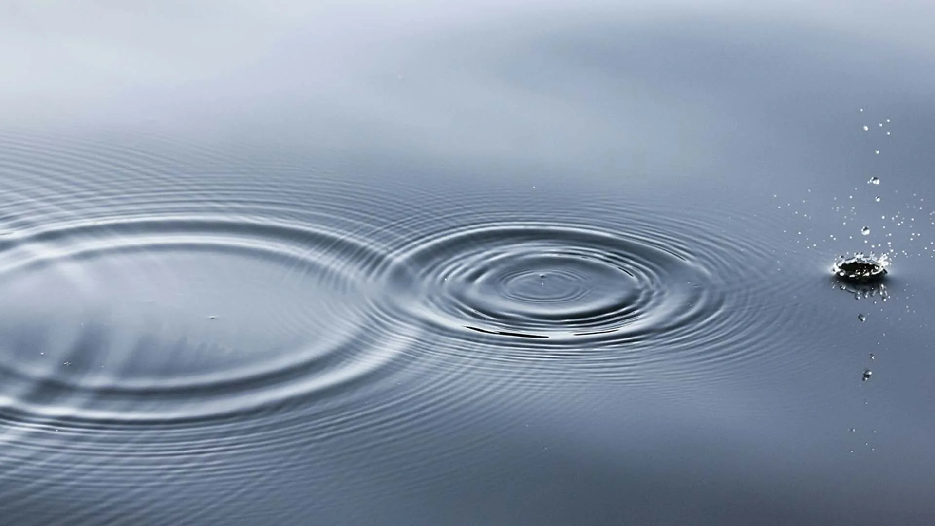 Drop of water rippling