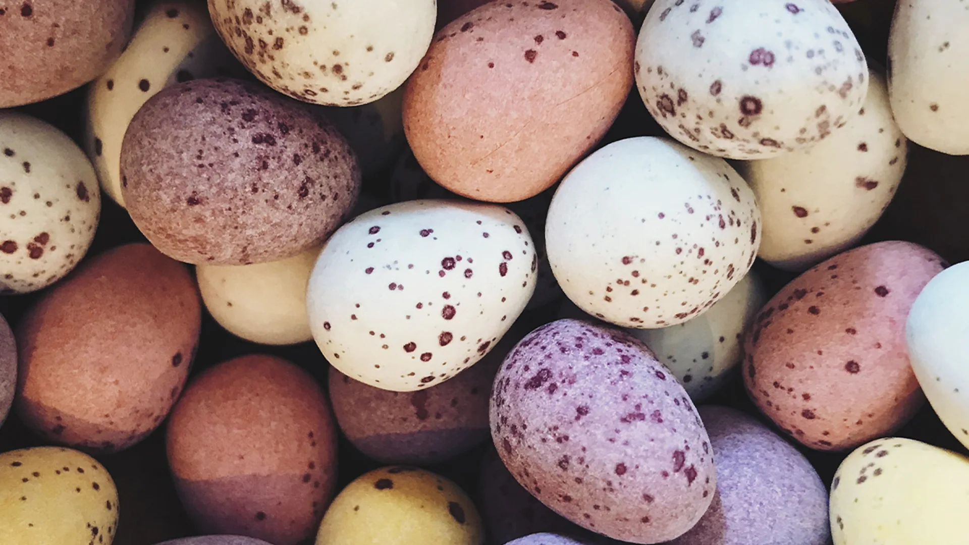 Colourful chocolate eggs