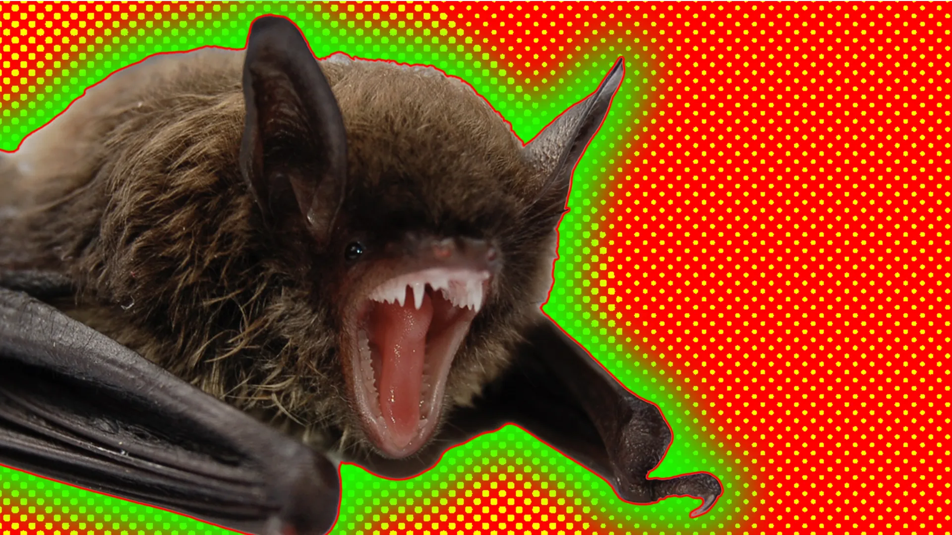 Bat showing it's fangs outlined by a green halo effect on a red and yellow spotty background