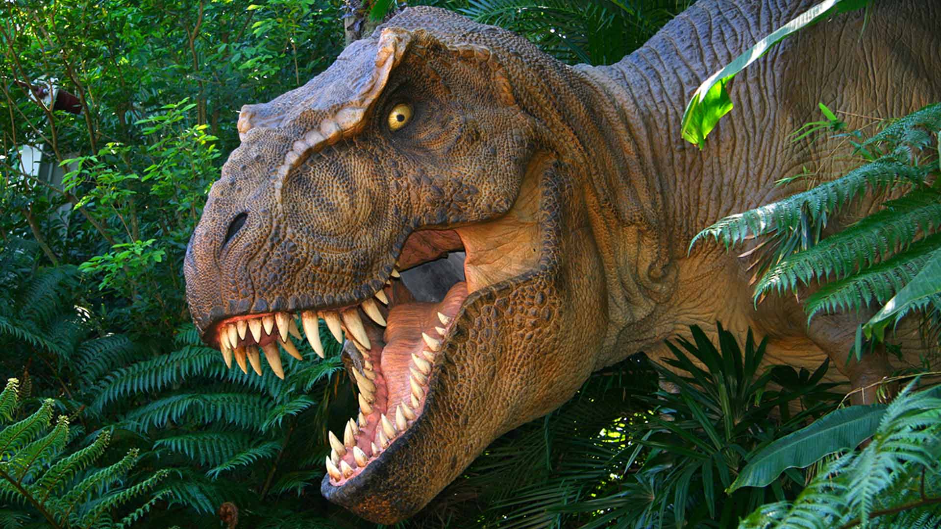 A t-rex with a green luscious plant background behind it