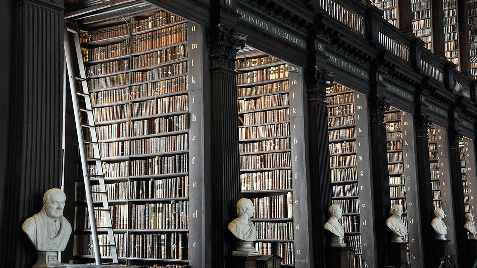 A library of books