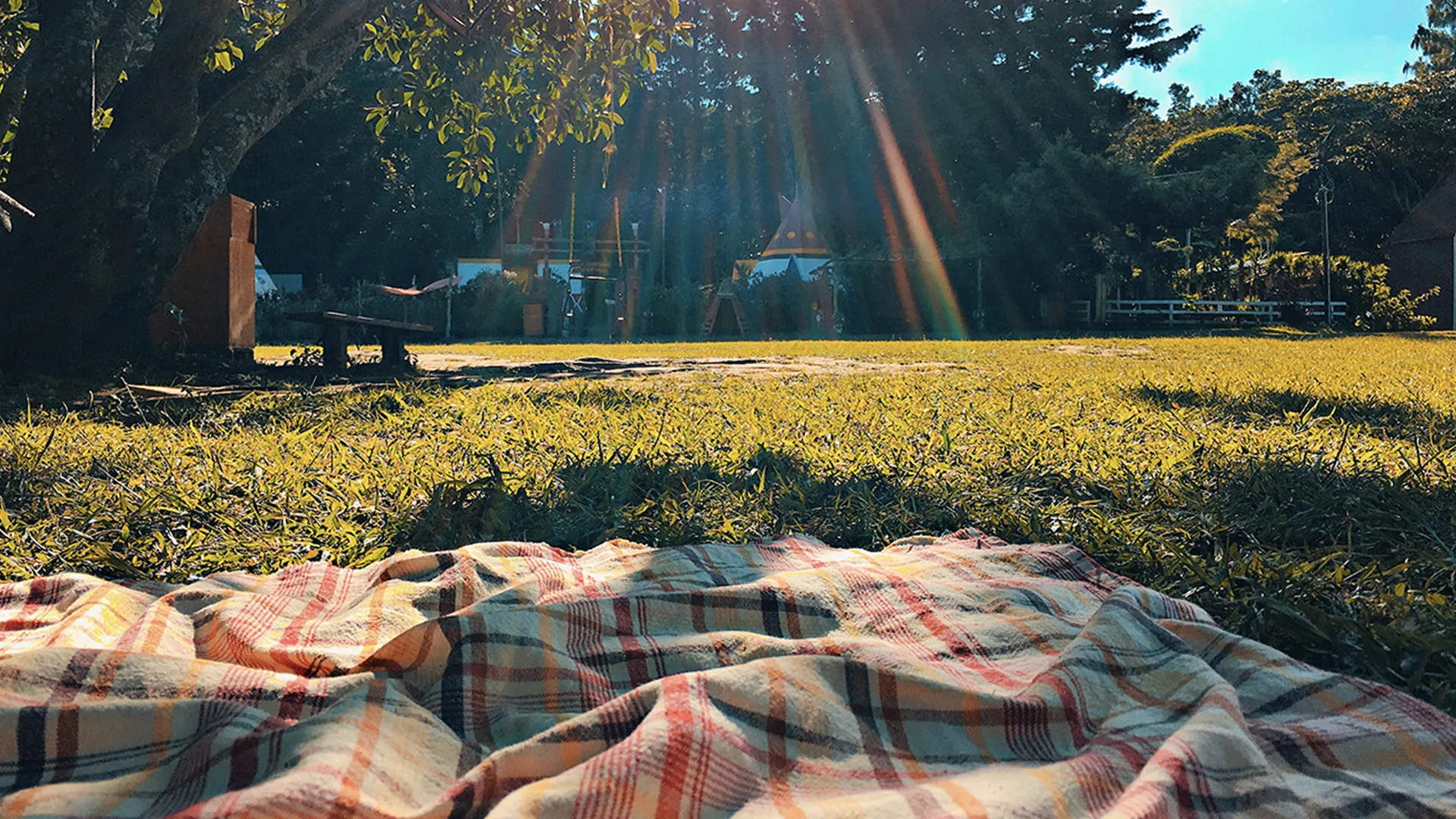 Picnic blanket in the sun