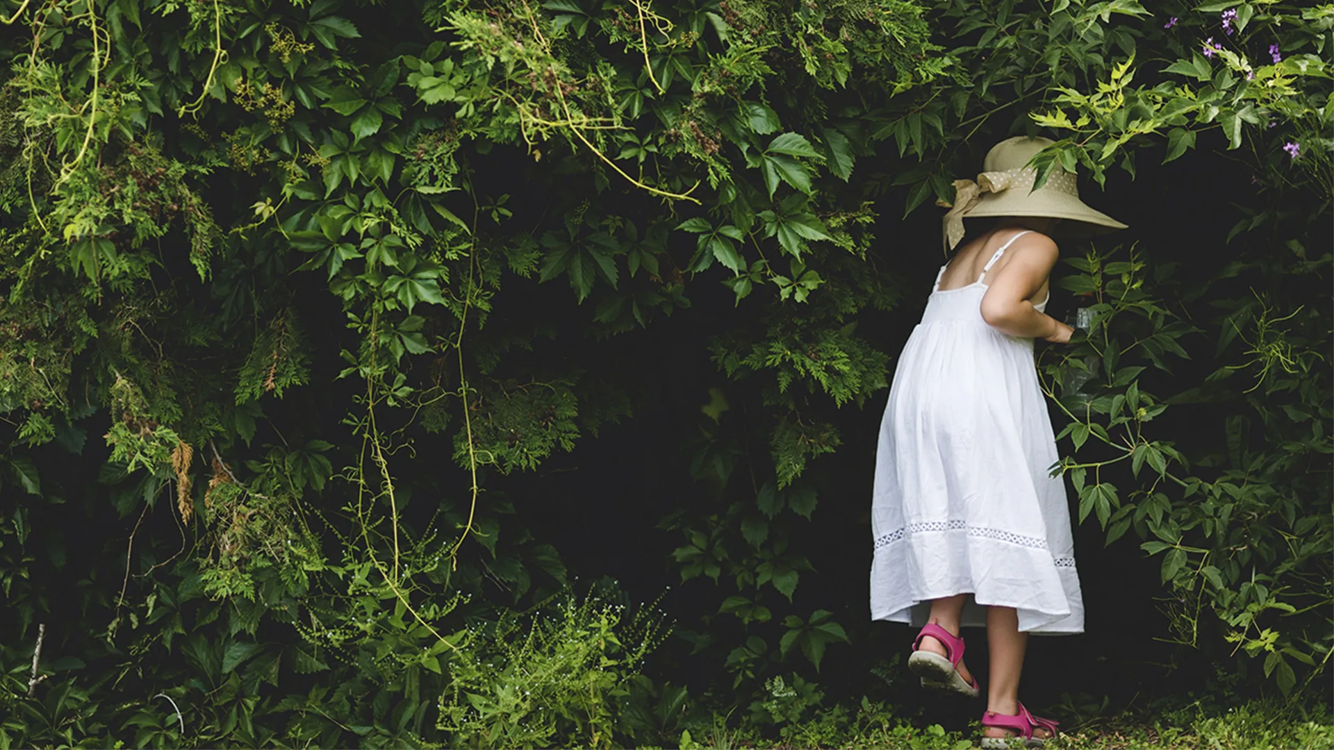 A child with a summer outfit walking into a green bush