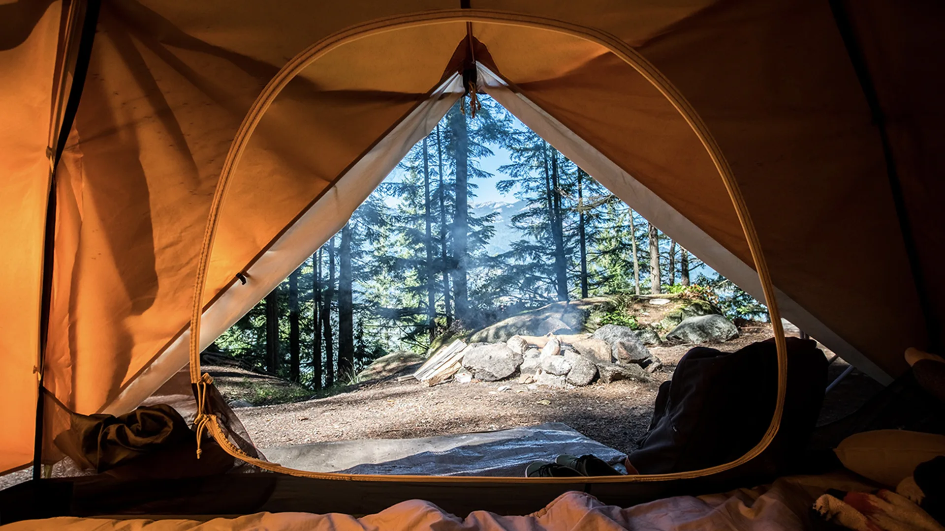 Inside a tent looking out you can see trees in the distance