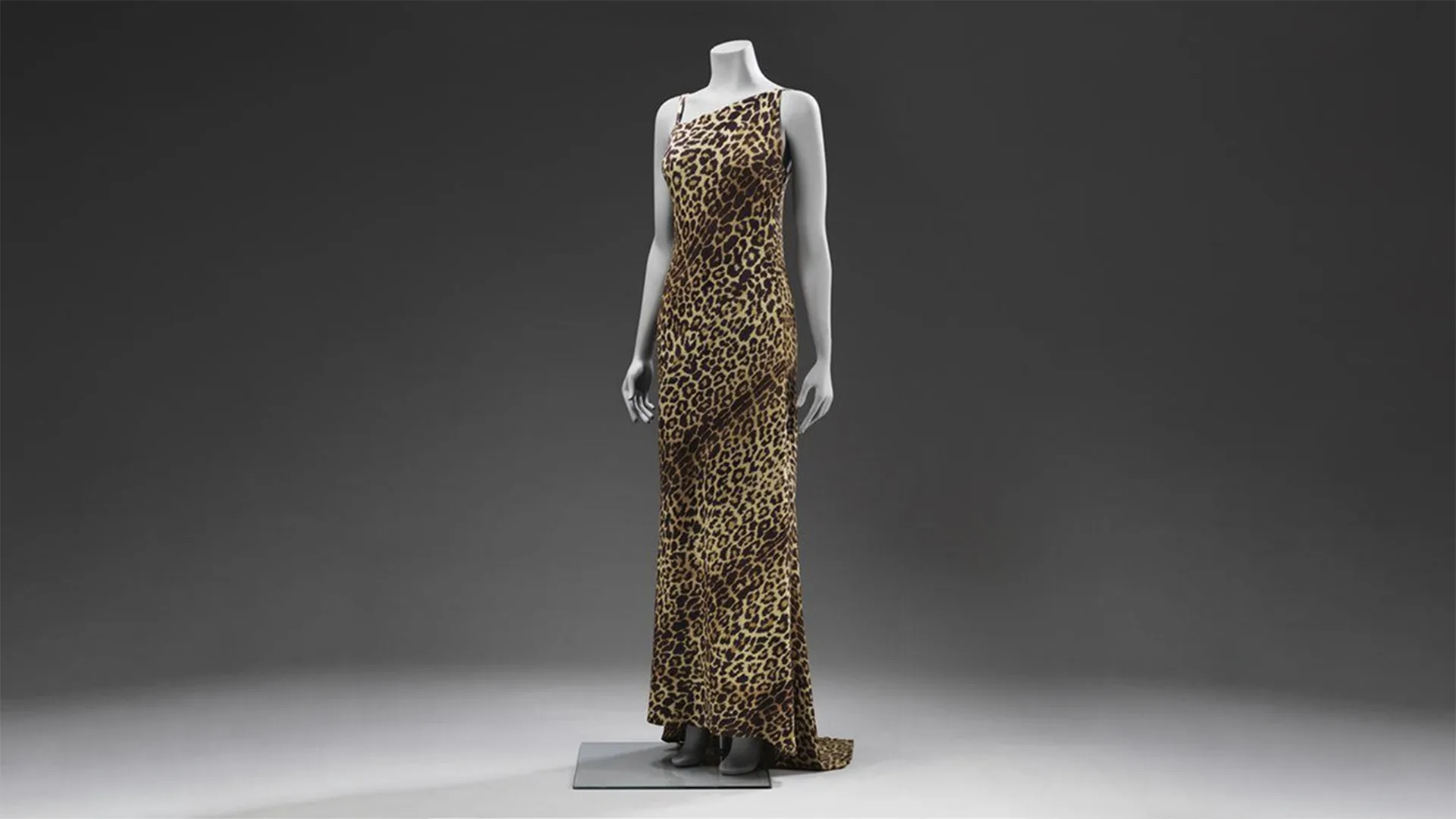A leopard print dress