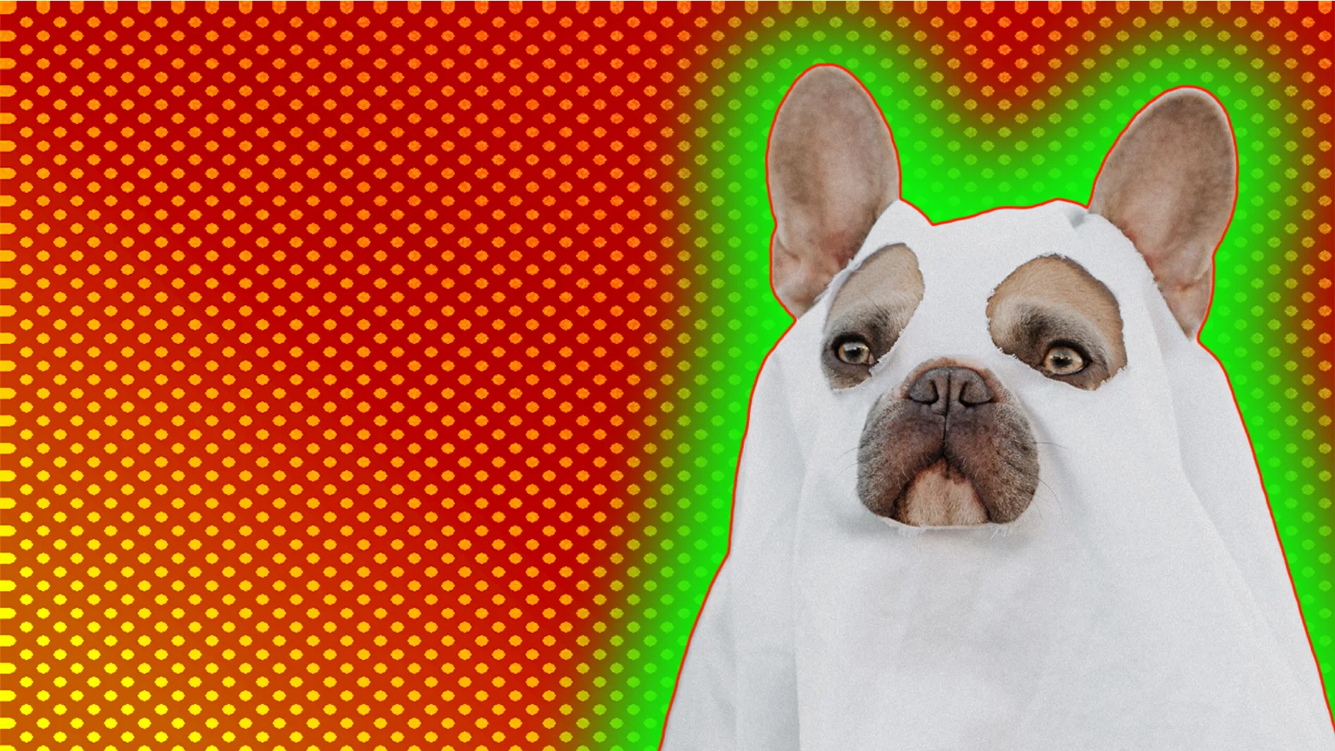 Brown Bulldog wearing ghost costume, outlined by light green halo effect on red-dotted background.