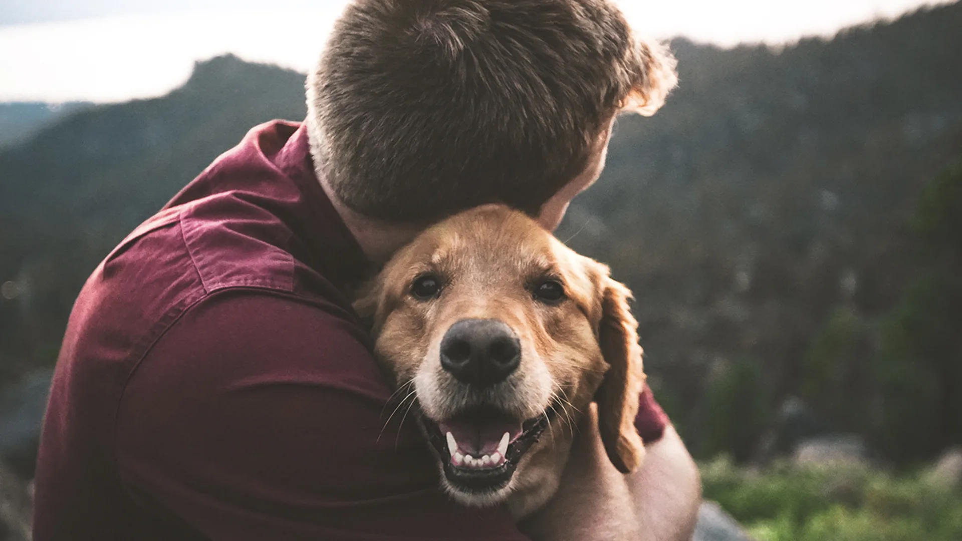 Man hugging Golden Retriever dog