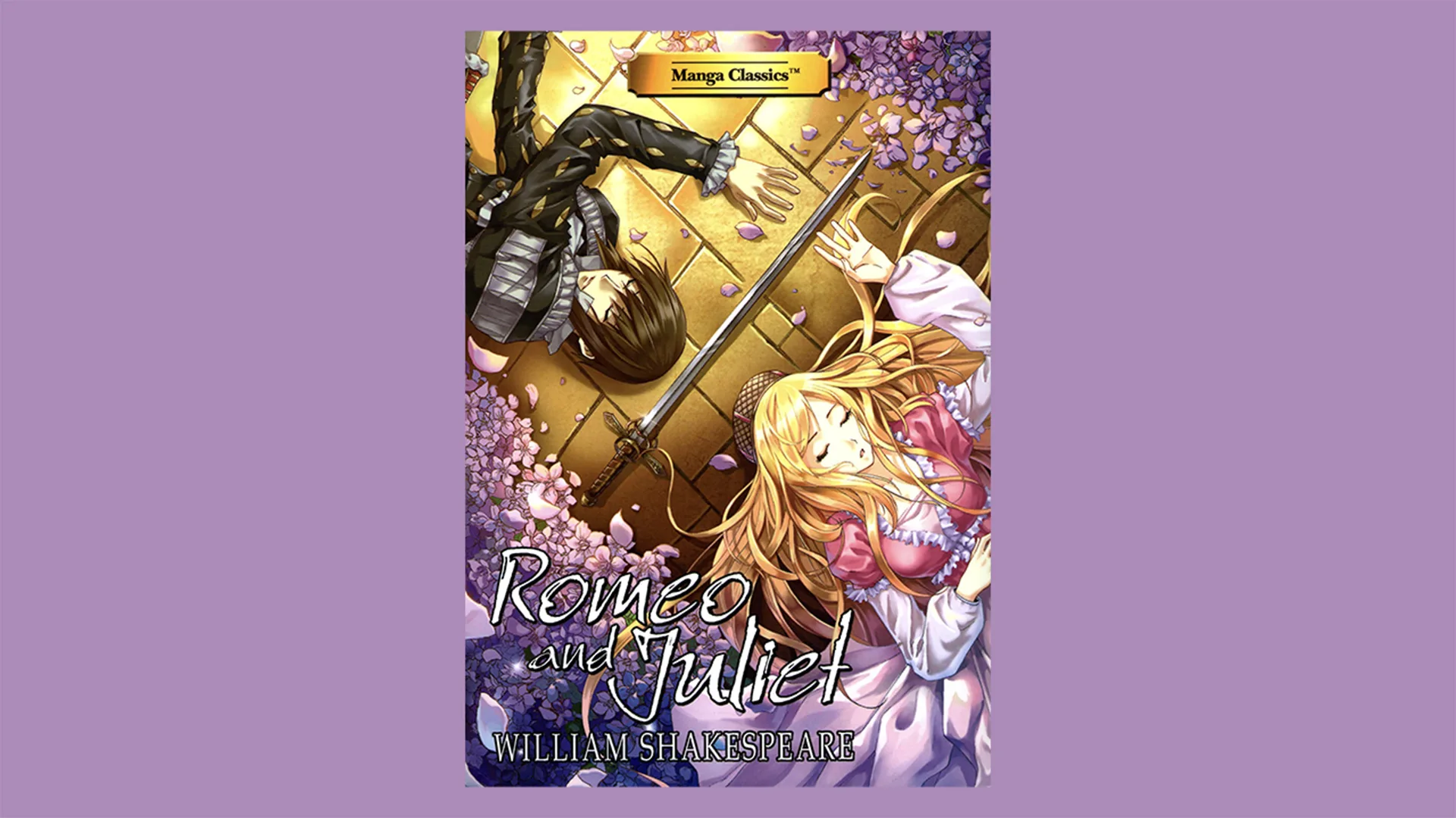 The graphic novel book cover of Romeo and Juliet