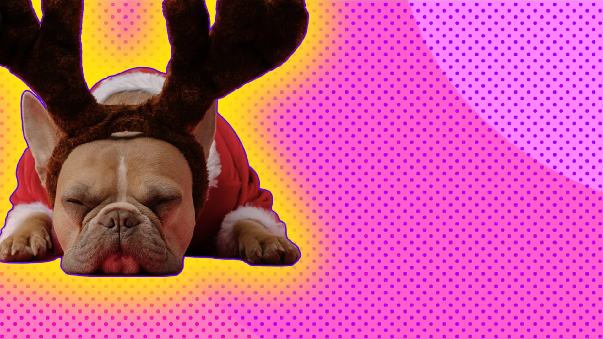 Sleeping French Bulldog wearing reindeer antlers head band and red and white Christmas outfit on pink-dotted background.