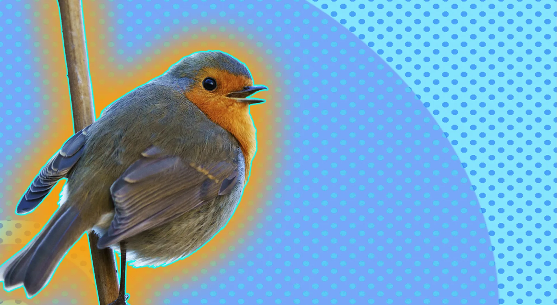 Robin sitting on tree branch, outlined by orange halo effect on blue-dotted background.