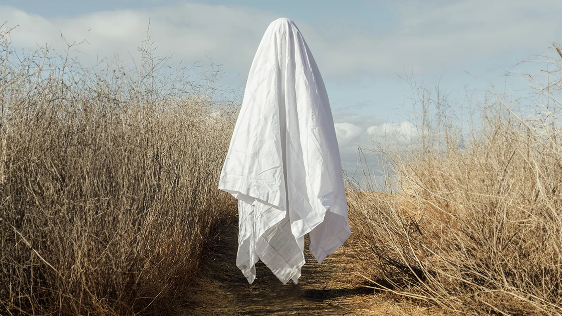 A white sheet representing a ghost walking through a field