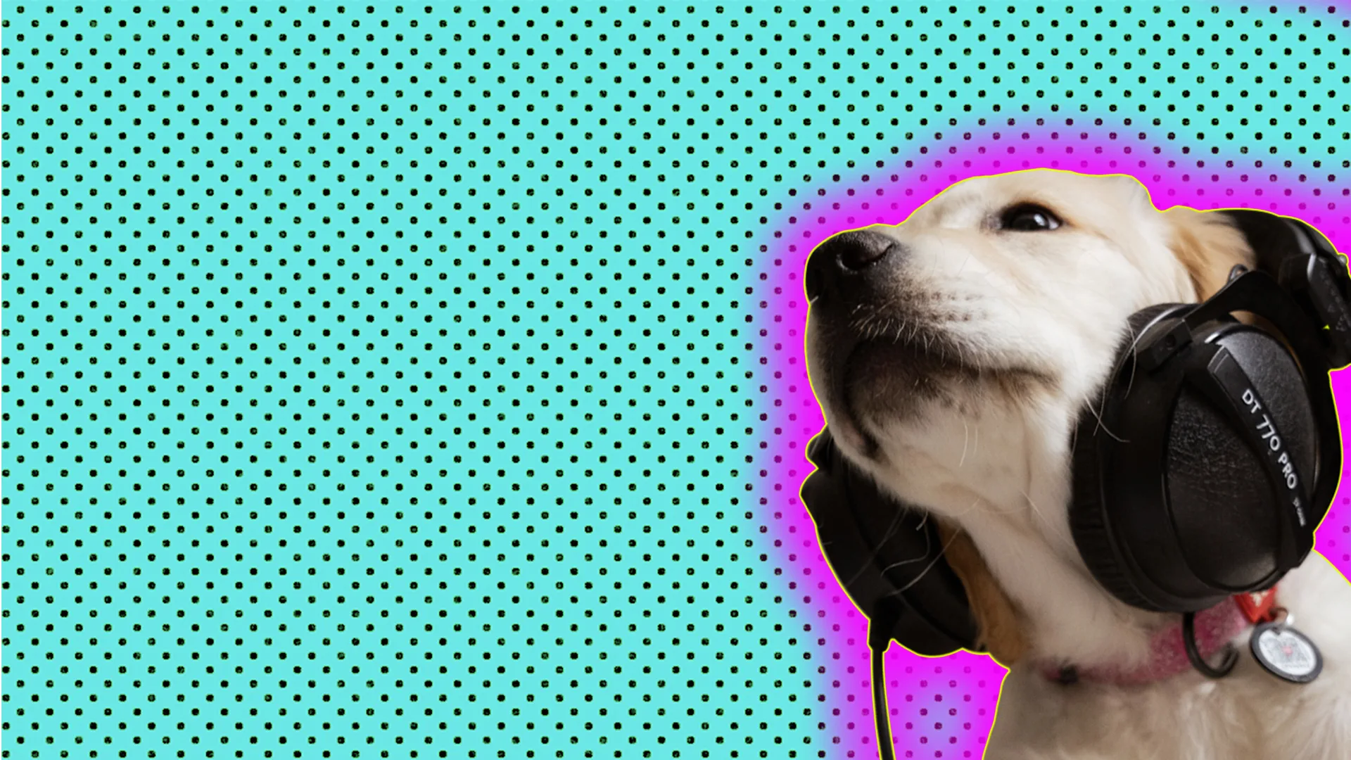 Dog with headphones on, and a purple glow on a blue background