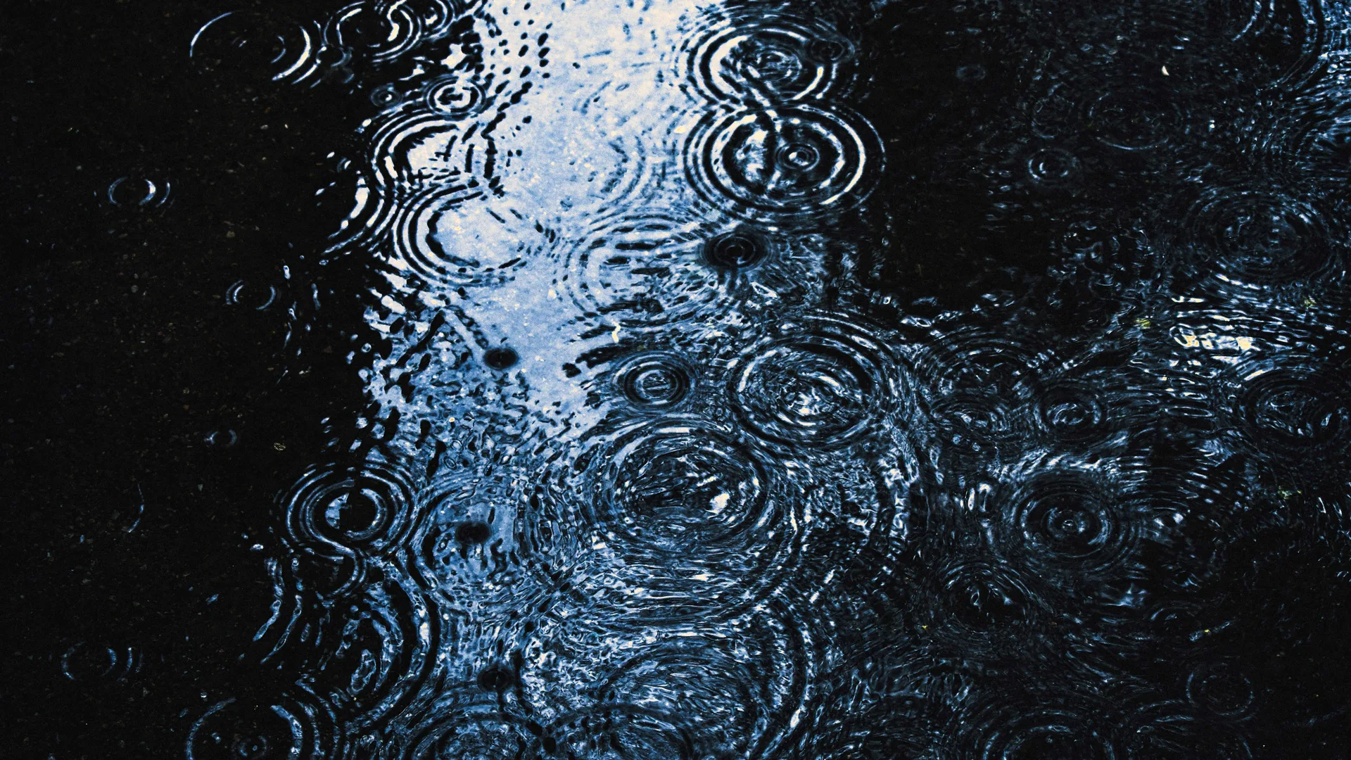 Photograph of raindrops falling on a puddle of water