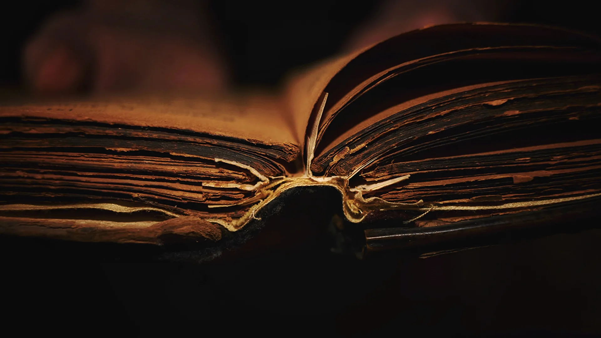 Close up of an ancient book
