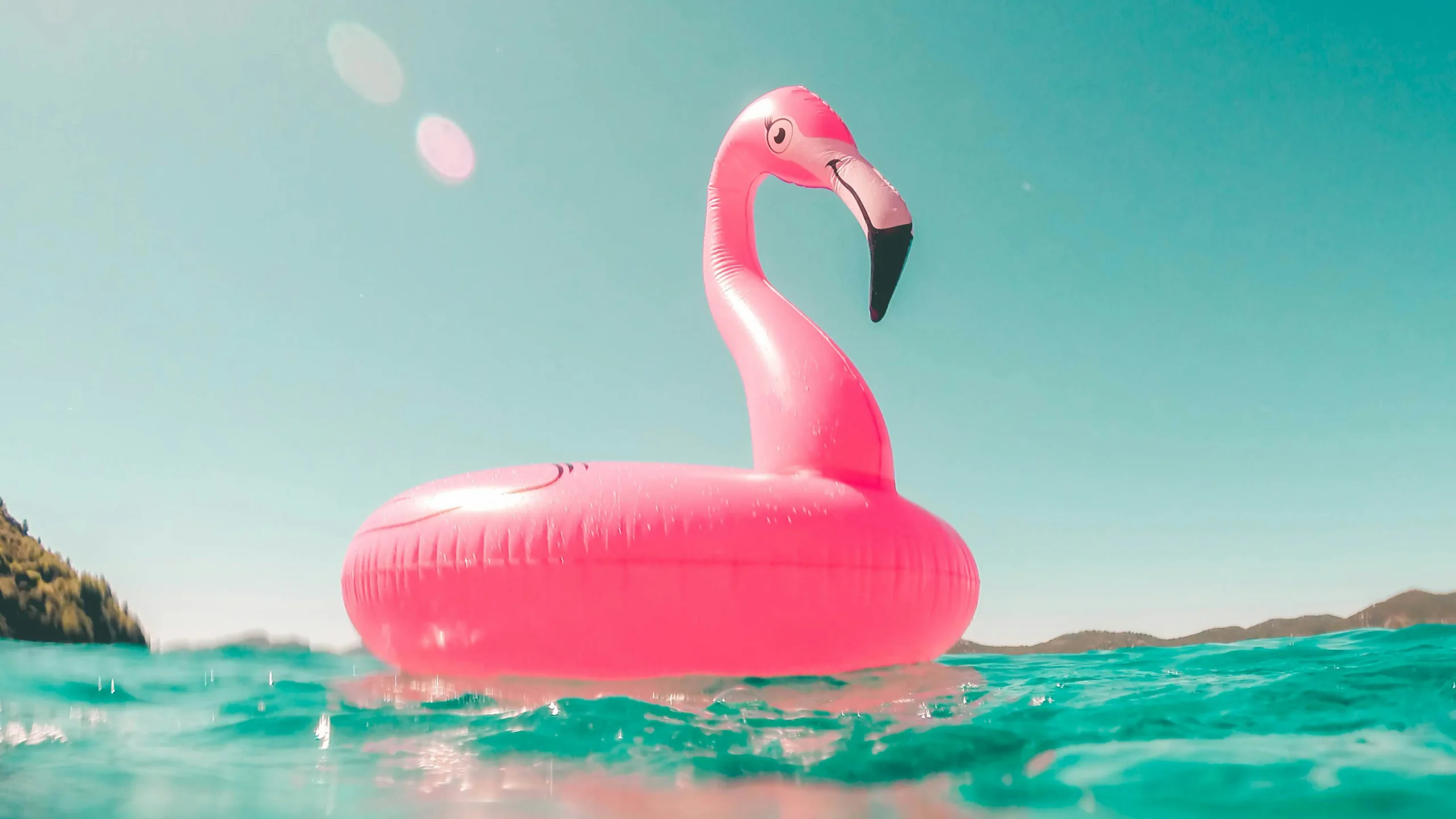 A photograph of an inflatable pink flamingo on water