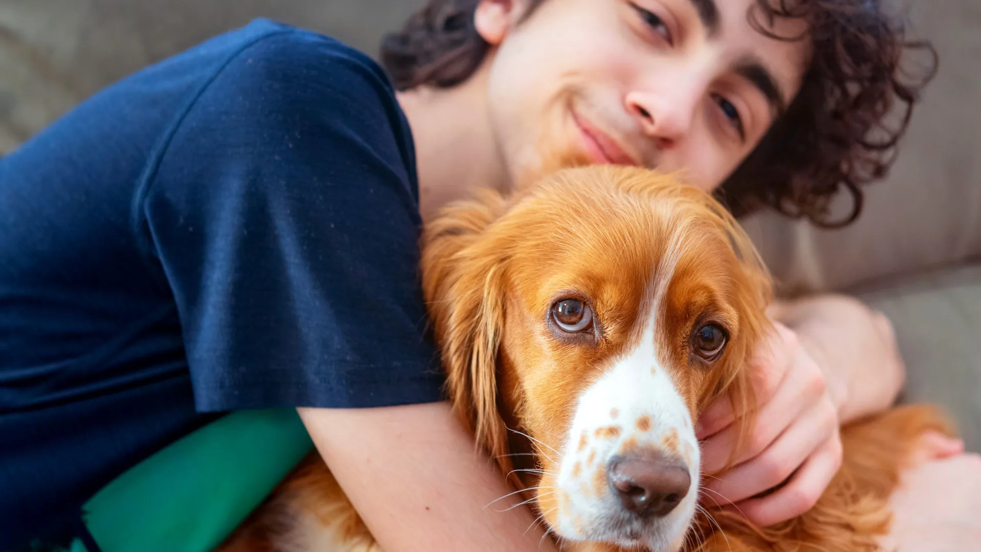 A photograph of a teenage boy cuddling an orange and white spaniel dog