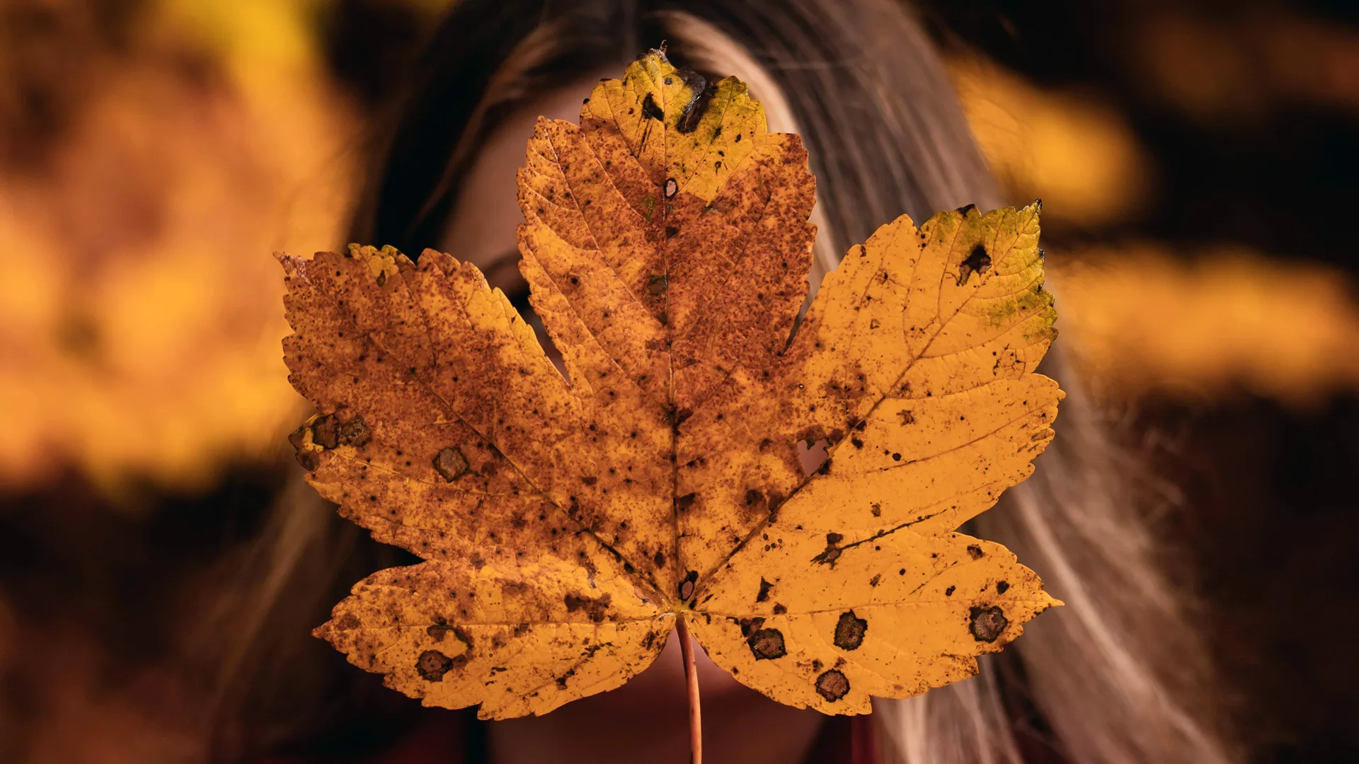 Gold autumn leaf with speccles held up in front of woman's face