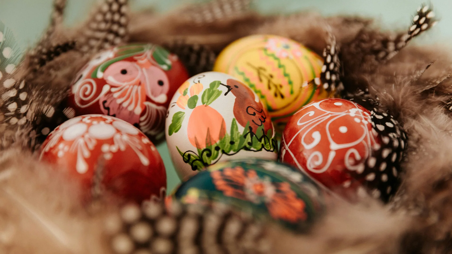A photograph of decorated colourful eggs in a basket of feathers