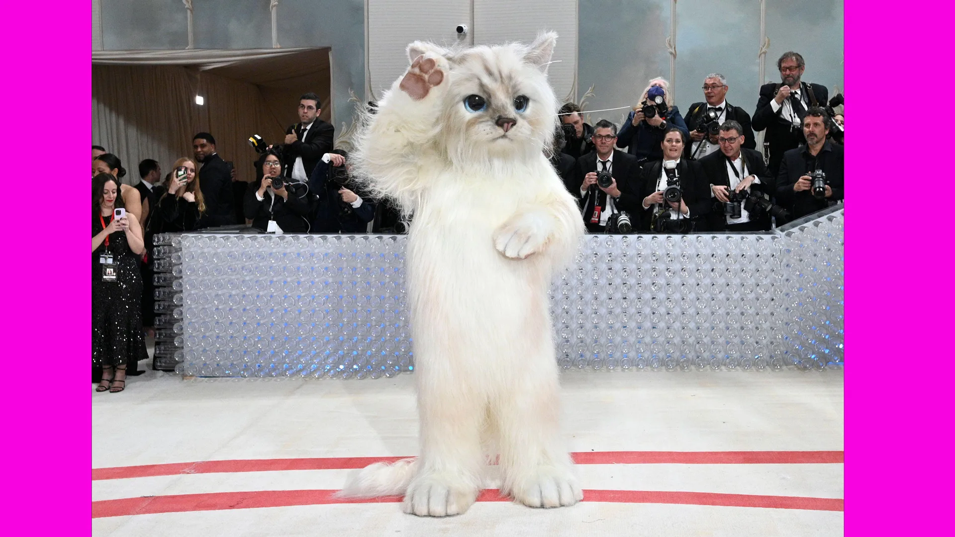 A photo of Jared Leto at the Met Gala dressed as a giant white cat with press behind him taking photographs
