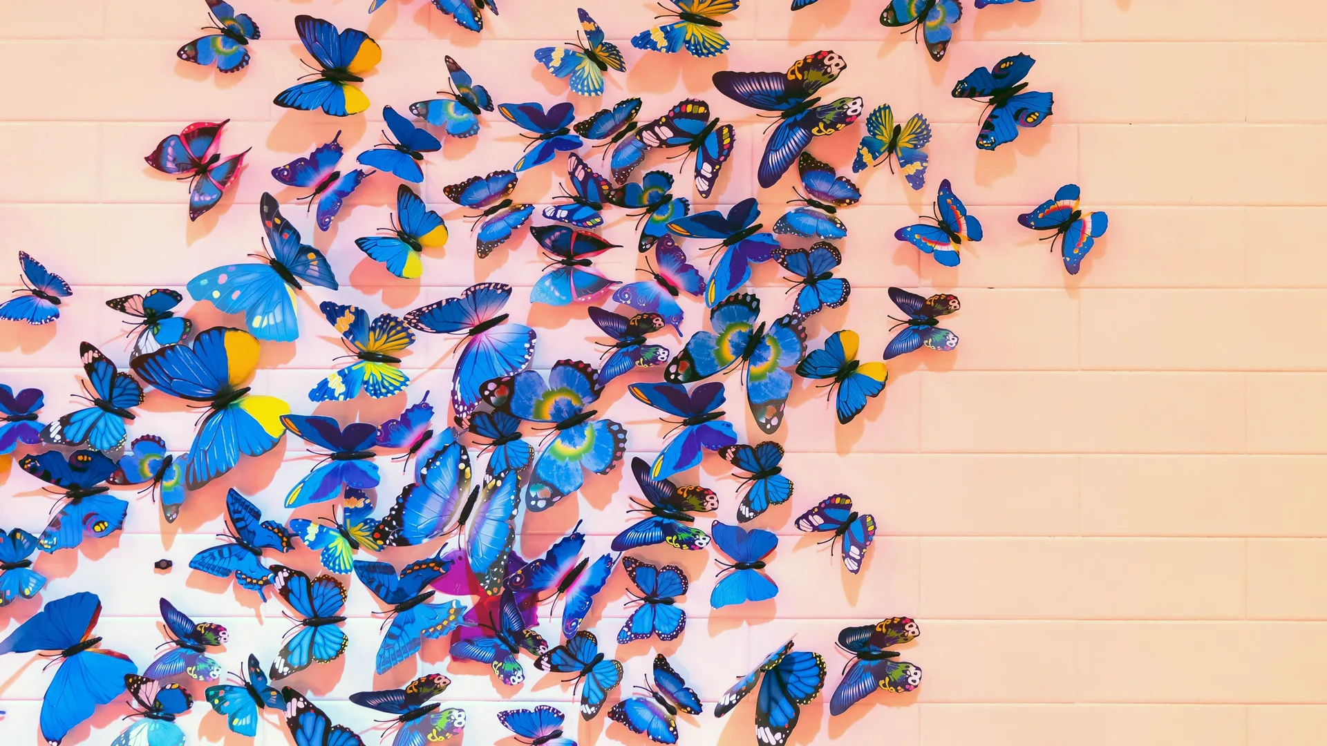 A photograph of lots of blue butterflies on a pink brick wall