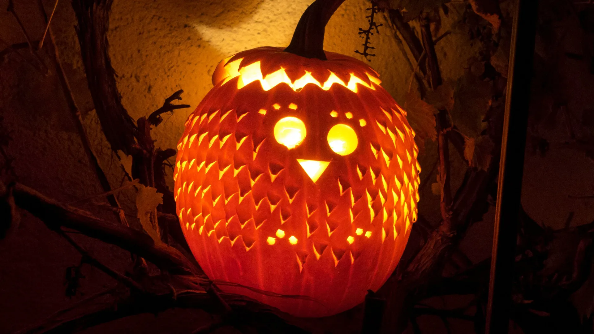 A photo of a pumpkin with an owl carving all lit up inside with a candlelit background.