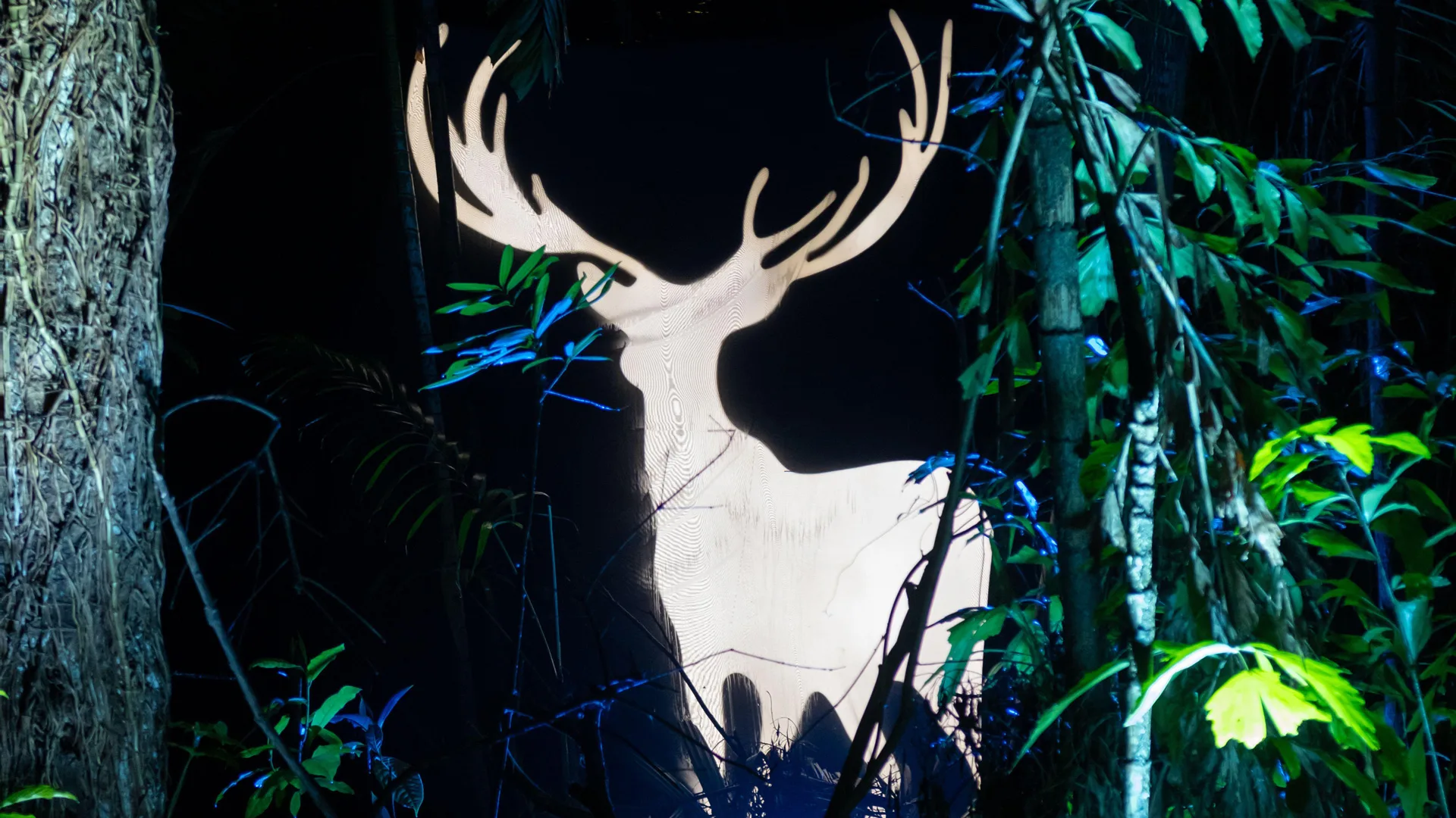 A photo of a white glowing stag patronus from Harry Potter World in Singapore. The stag is surrounded by green lit foliage in a dark forest setting.
