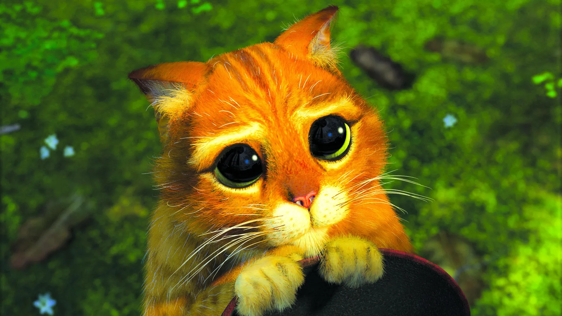 A still from Shrek showing Puss in Boots doing his wide-eyed pleading stance holding onto his little hat. Behind him is green foliage.