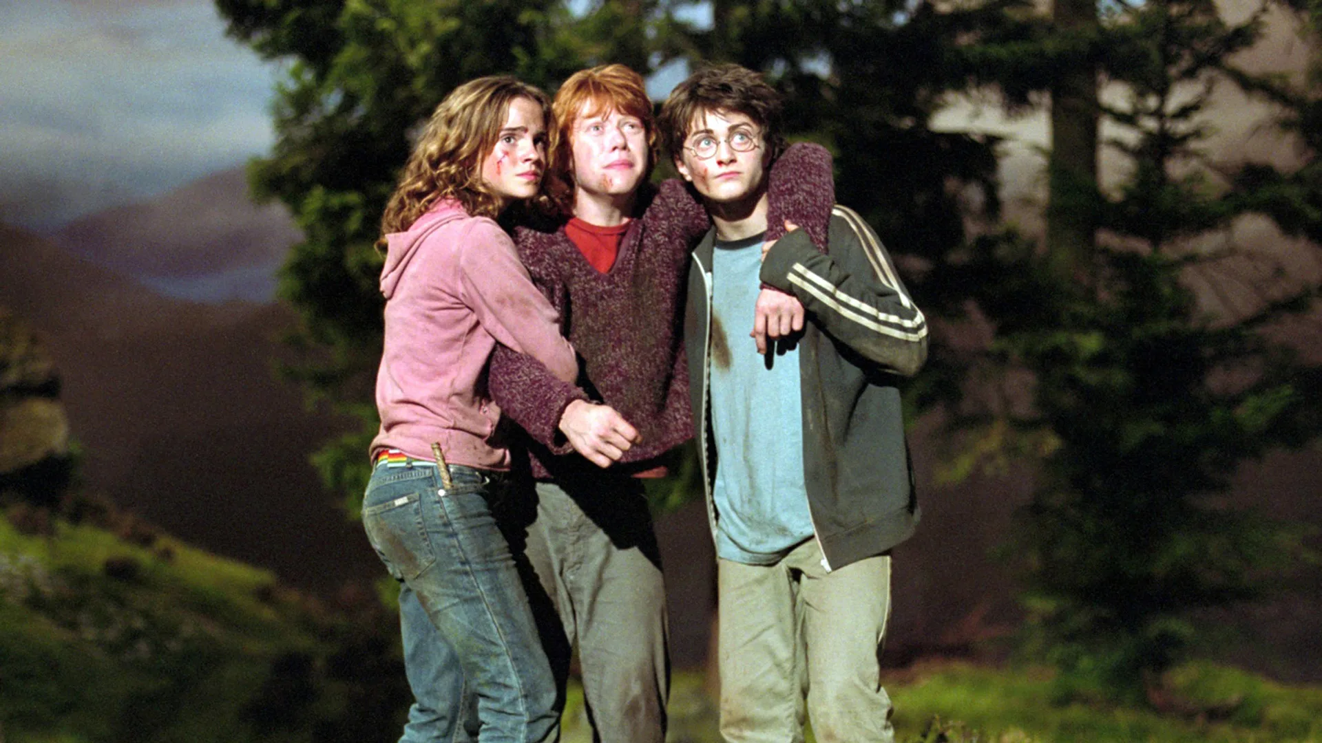 A photo of Hermoine, Ron and Harry Potter stood holding eachother with bruised bloody faces looking up in fear against a gloomy treelined landscape.