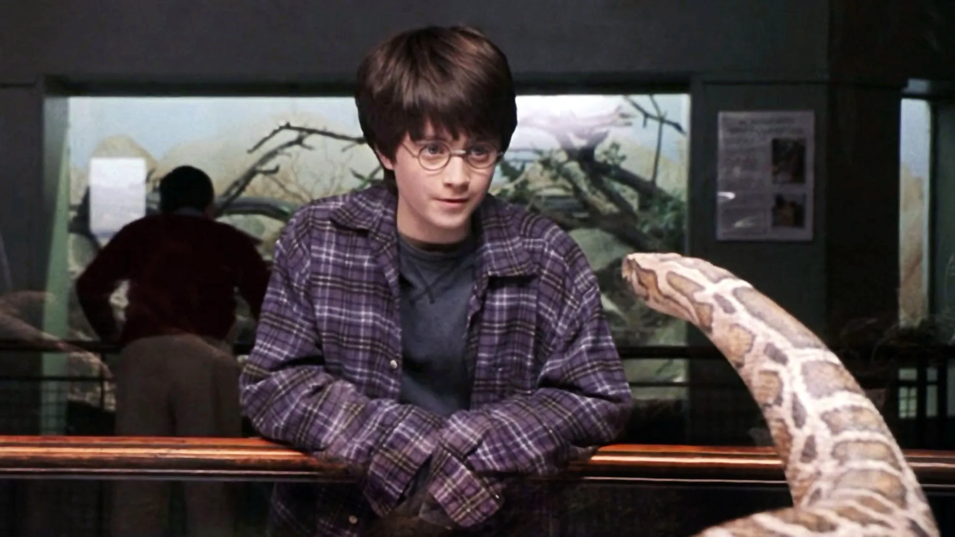 A still from Harry Potter and the Philosopher's Stone showing Harry staring at a snake in an aquarium.