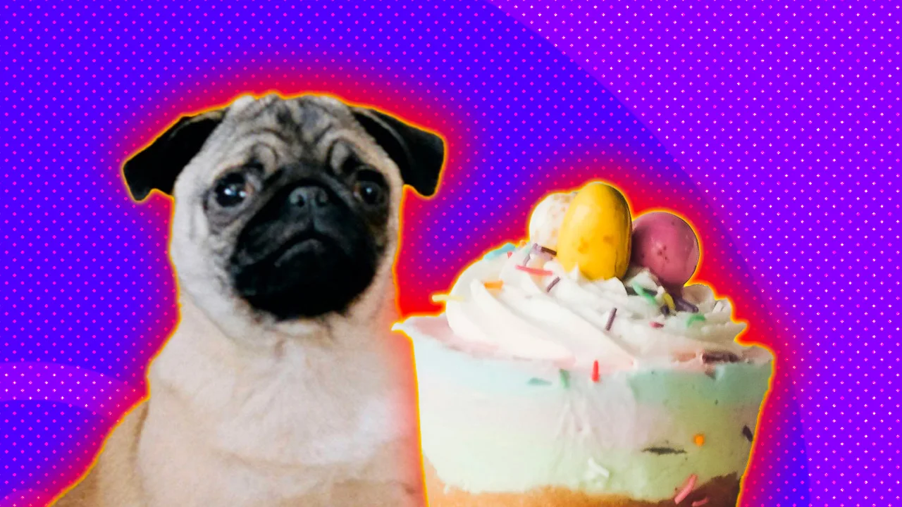 An image of a pug and a cake against a purple dotted background with a red and yellow halo.