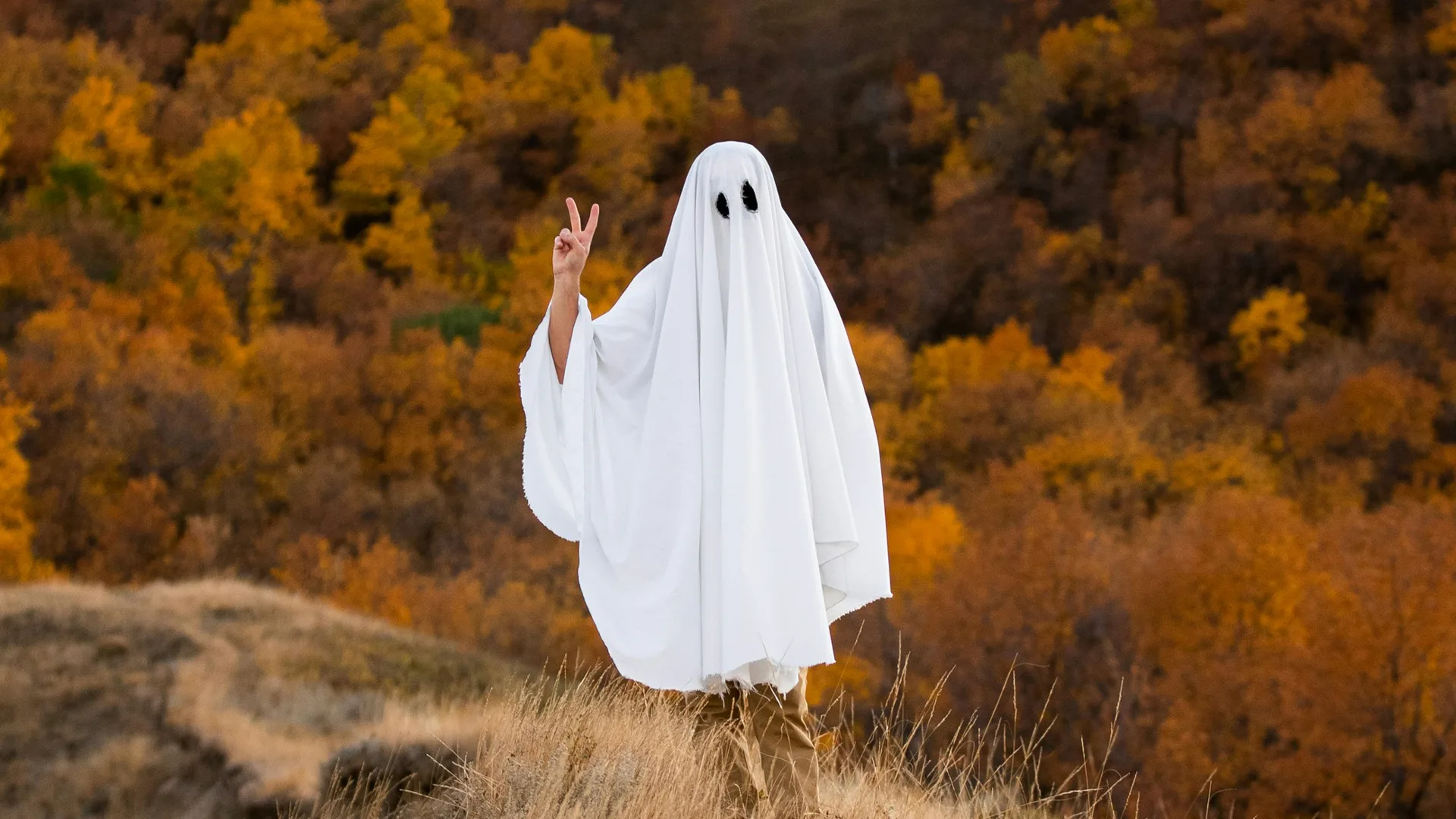 A photograph of a person wearing a white sheet holding a hand up giving a peace sign in an autumnal field of grass and orange leaves.