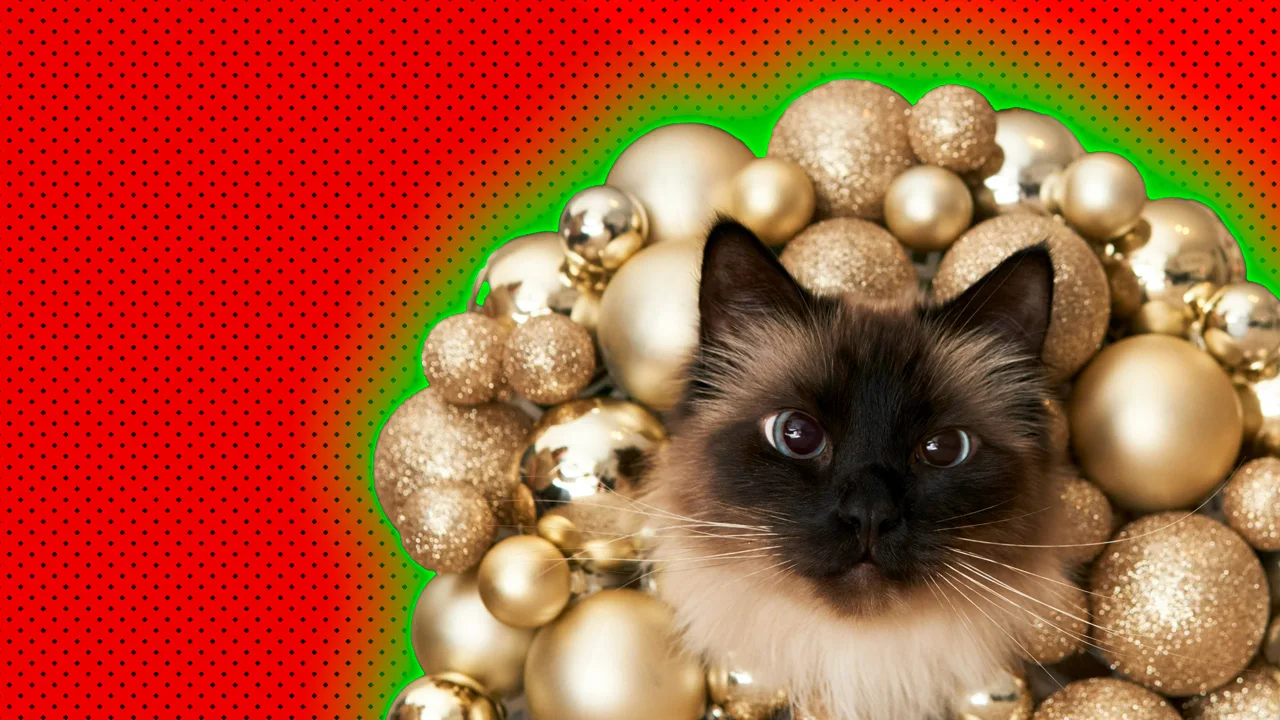 An image of a cat surrounded by gold baubles against a red dotted background with a green halo.
