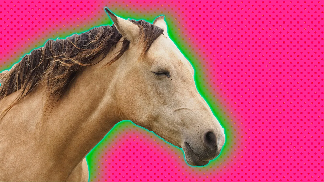 A photo of a beige horse with its eyes closed on side profile set against a pink background with a green halo.