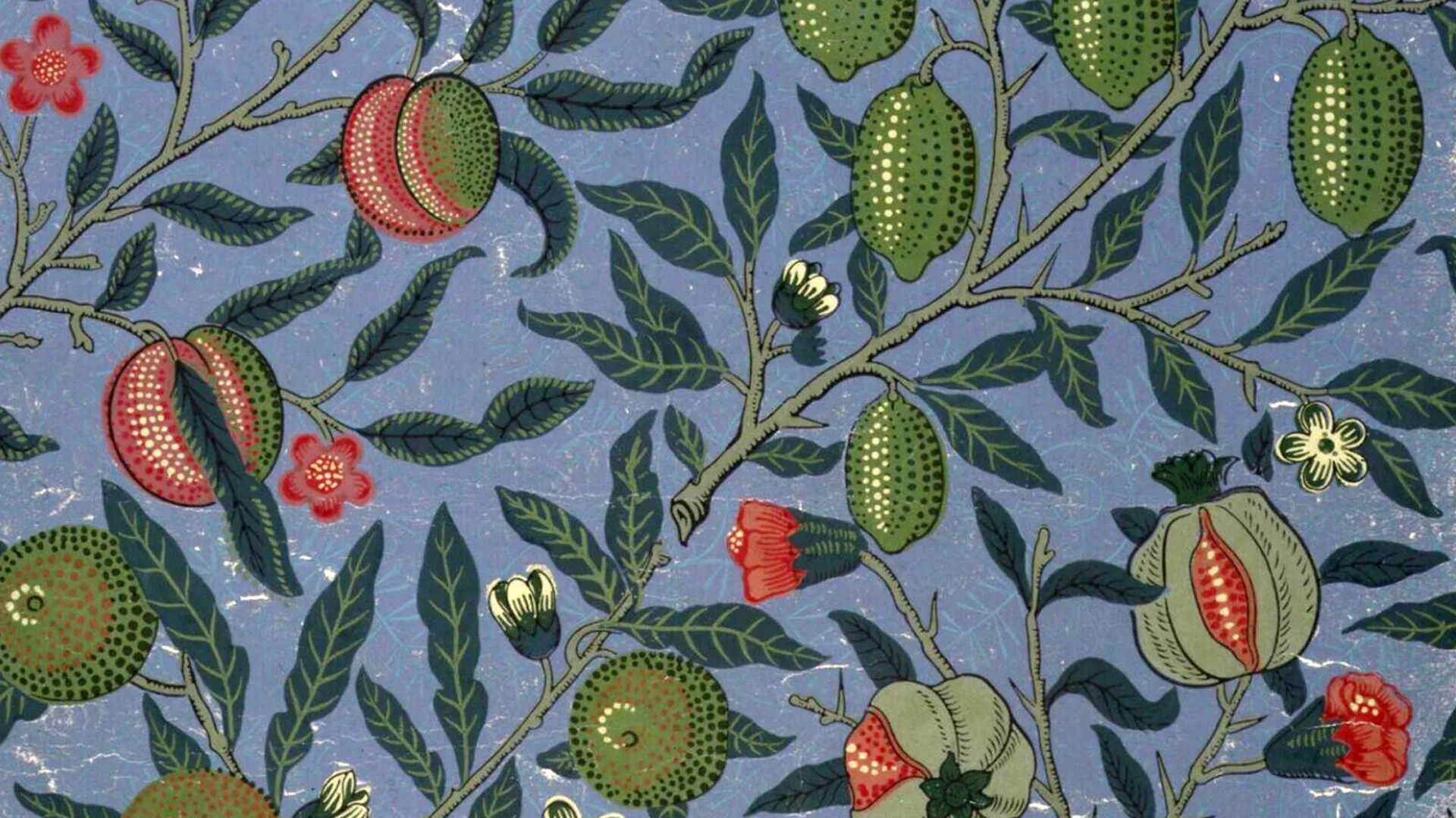 A William Morris pattern showing a pattern, branches of fruit trees bearing oranges, lemons and pomegranates, on a blue background.