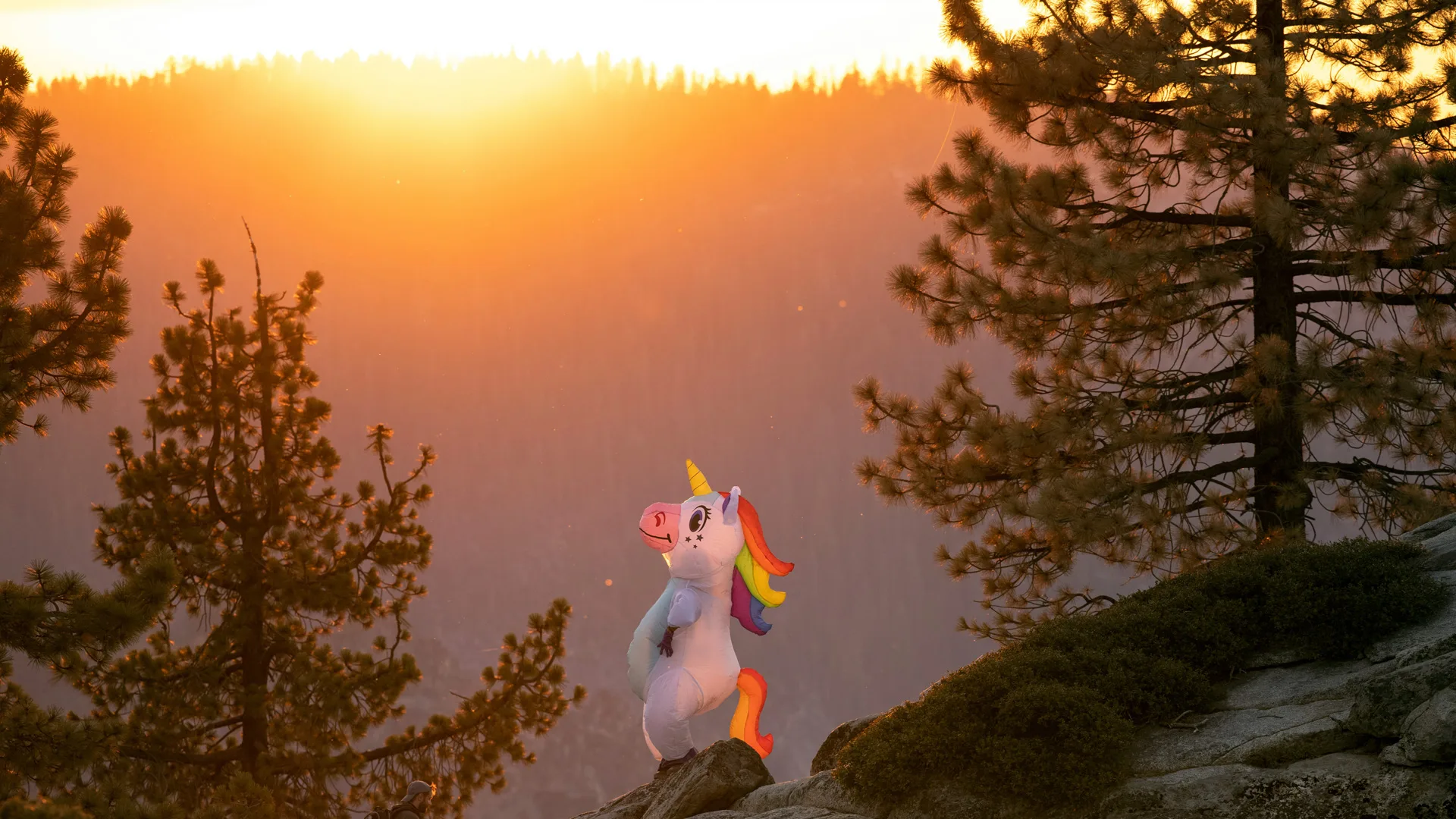 A photo of a cartoon unicorn sat on a rock overlooking a valley at sunset with trees next to it.