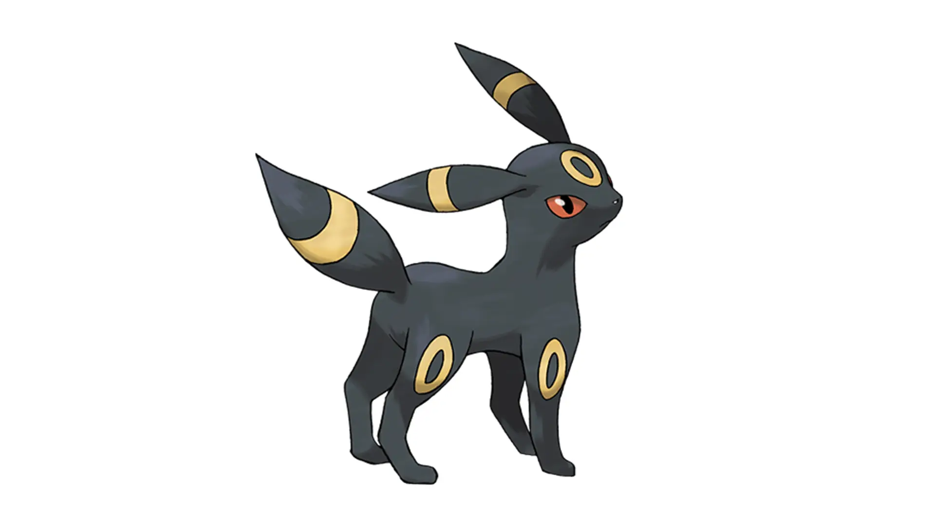 An image of the Pokemon Umbreon - a black and yellow creature in the shape of a cat like animal with pointed ears and a fox like tail set against a white background.