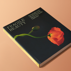 A red poppy set against a black background decorates the cover of the exhibition book