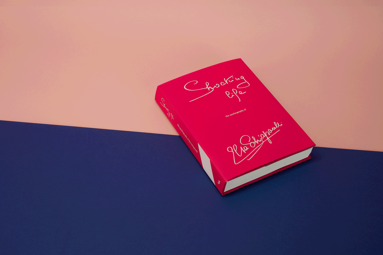 Shocking Life: The Autobiography of Elsa Schiaparelli book