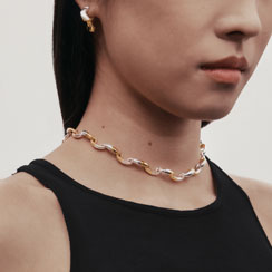 A model wears a gold and silver chain link choker necklace and matching earrings.