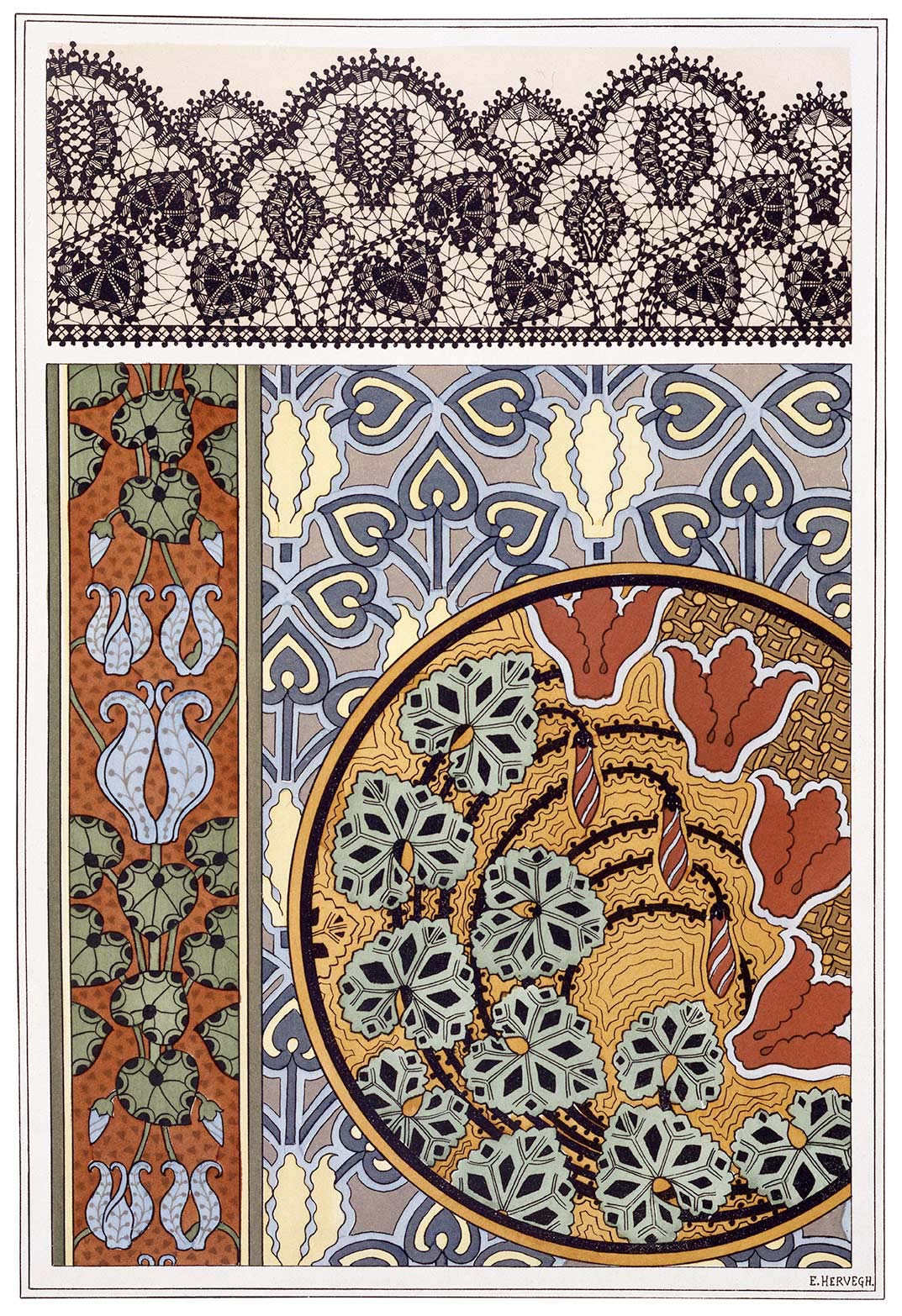 Plate 23, Cyclamen