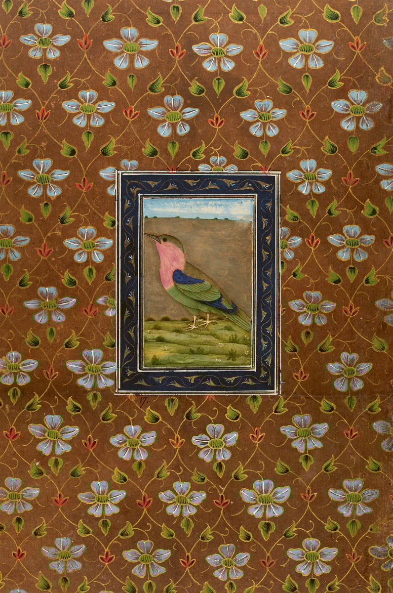 Bird set in floral border