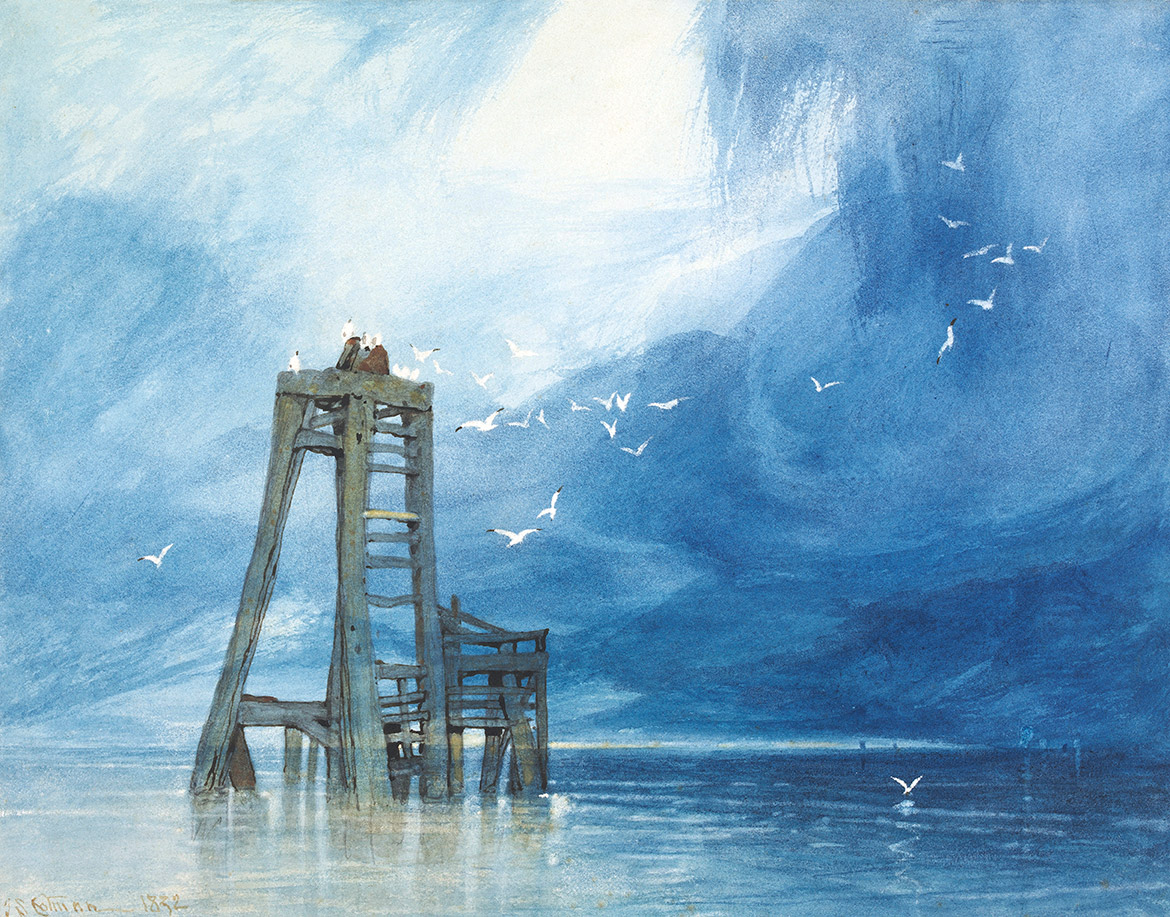 Study of Sea and Gulls